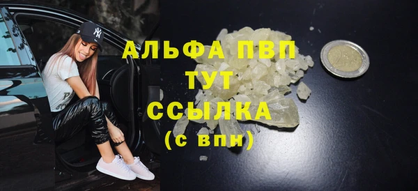стафф Касимов