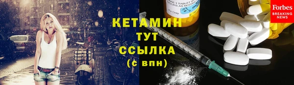 стафф Касимов