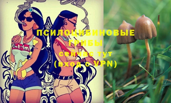 мяу мяу кристалл Карпинск