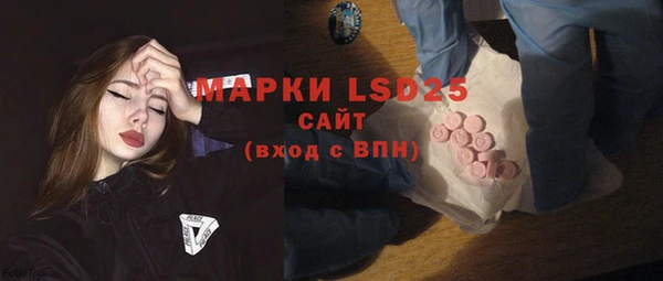стафф Касимов