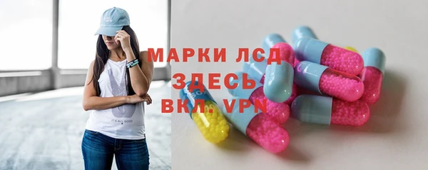 стафф Касимов