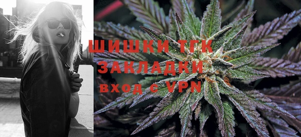 стафф Касимов