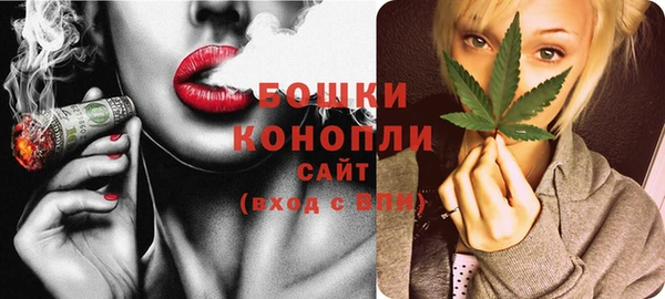 стафф Касимов