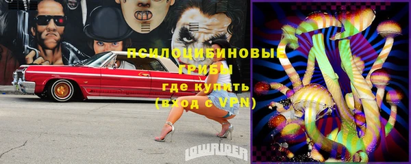 хмурый Чегем