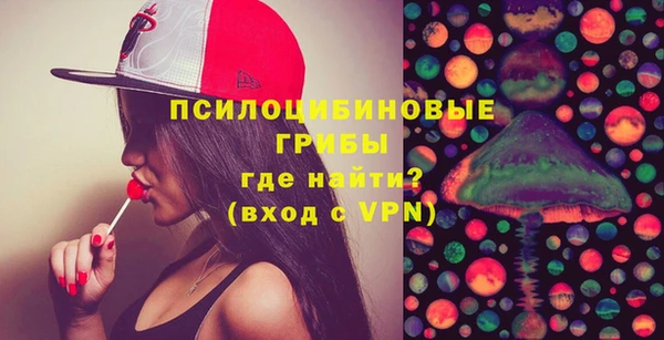 стафф Касимов